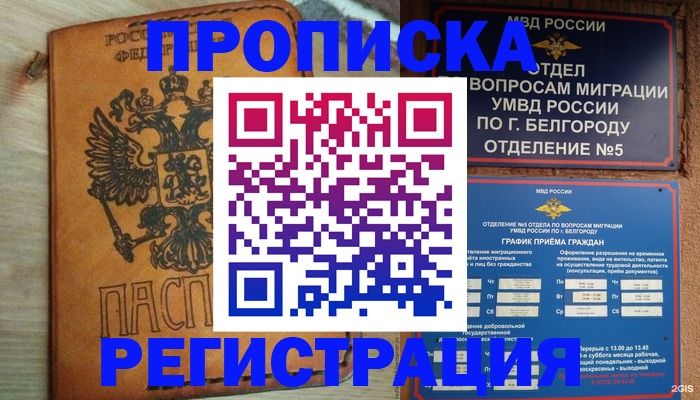 прописка для работы в Мытищах